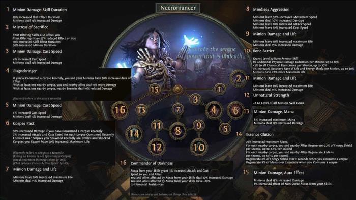 poe 3.21 Best Witch Builds 4